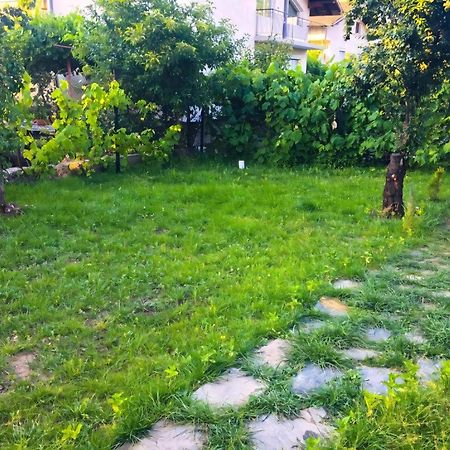 Alpin Guest House 사파레바바냐 외부 사진