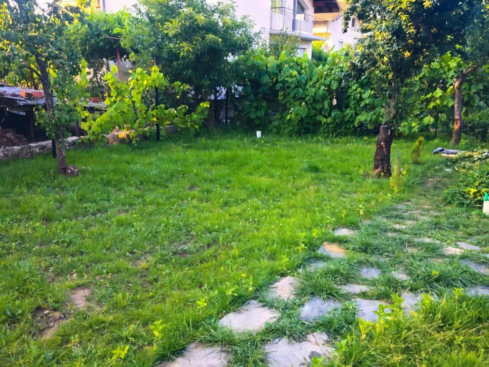 Alpin Guest House 사파레바바냐 외부 사진